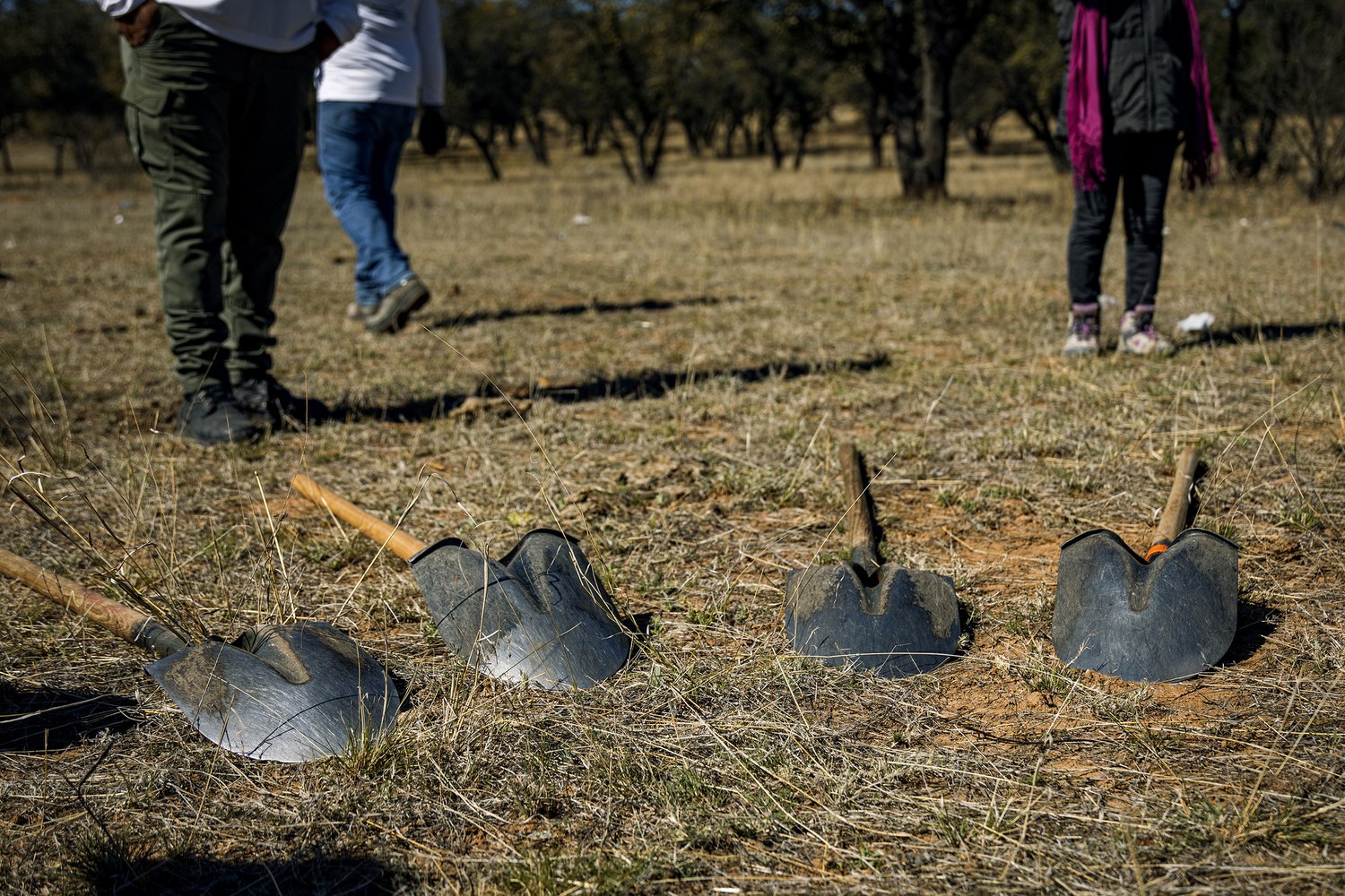 The shovels used by mothers when they venture into the fields to search for the remains of their children in Nogales, Sonora. © Andrea Godínez